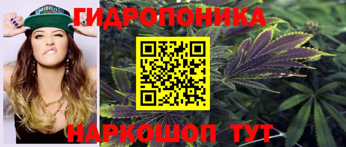 Канабис планчик  Вход с VPN  Северобайкальск  МАРИХУАНА LSD WEED 