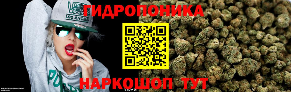 Каннабис SATIVA & INDICA Северобайкальск